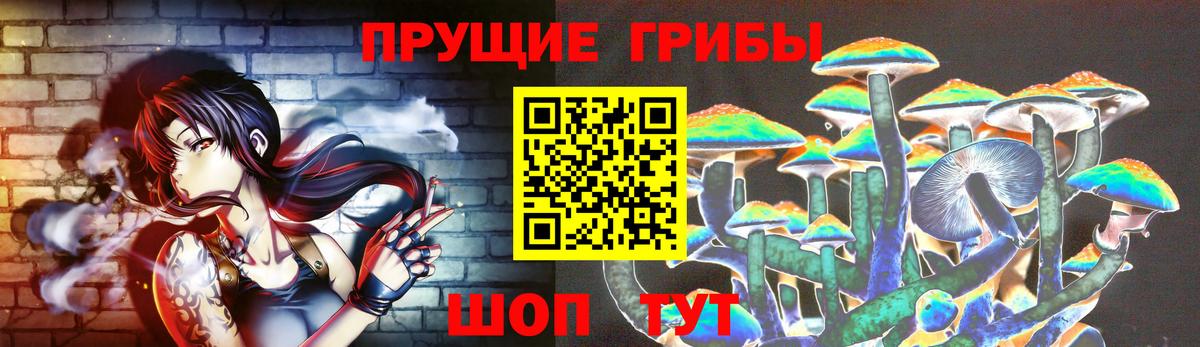 Псилоцибиновые грибы MAGIC MUSHROOMS Электросталь