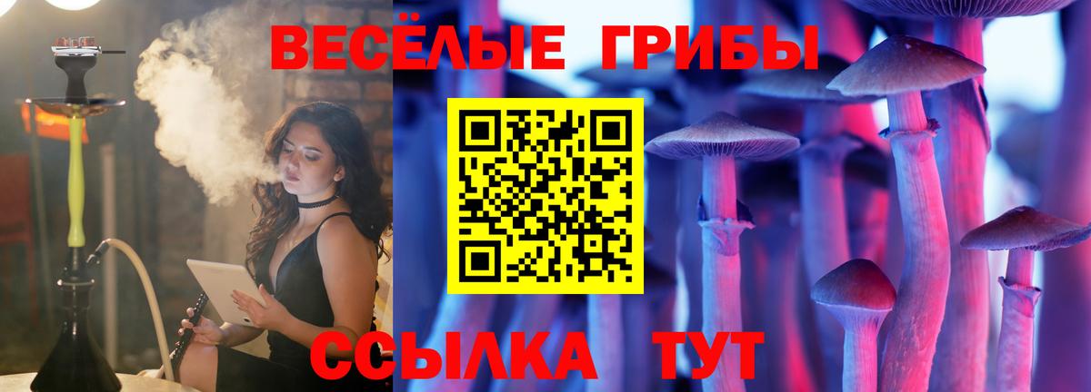 Галлюциногенные грибы Cubensis  Псилоцибиновые грибы Psilocybe  Вход с VPN  Электросталь 